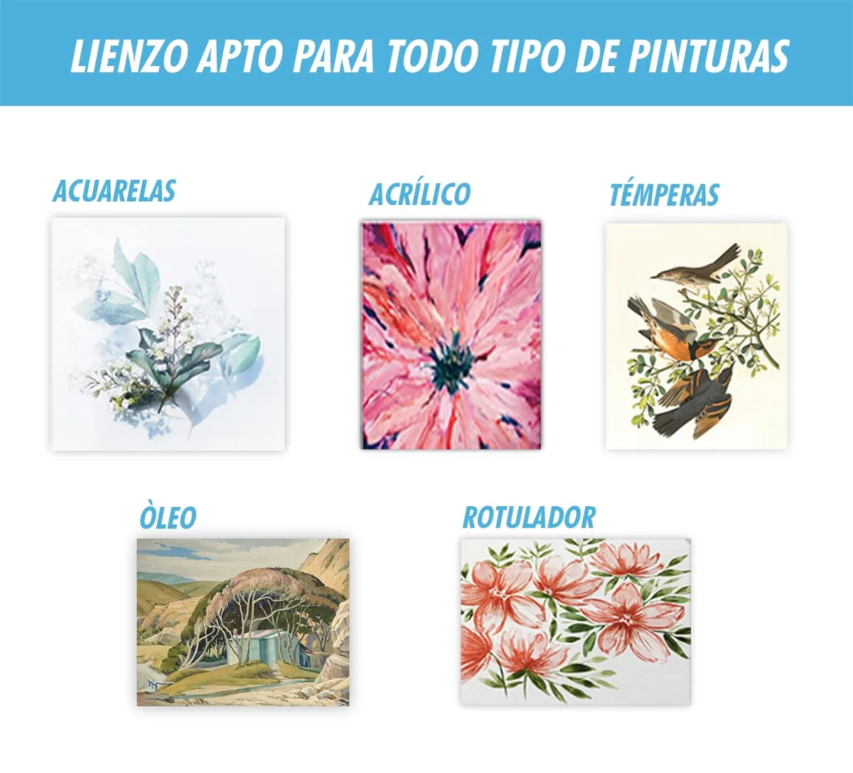 CHELY INTERMARKET MOD560 Lienzos Para Pintar 60X60 CM Pack 4 Unidades Bastidor Madera 16 MM Algodón Blanco Preimprimado Profesional Para Acrílico Óleo Manualidades Bellas Artes Artistas Aficionados
