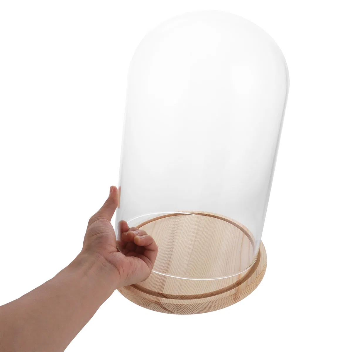 APACALI 1 campana de cristal con suelo de madera, 30 cm, campana de cristal transparente, caja de cristal, con base para luces, decoración, accesorio para el hogar