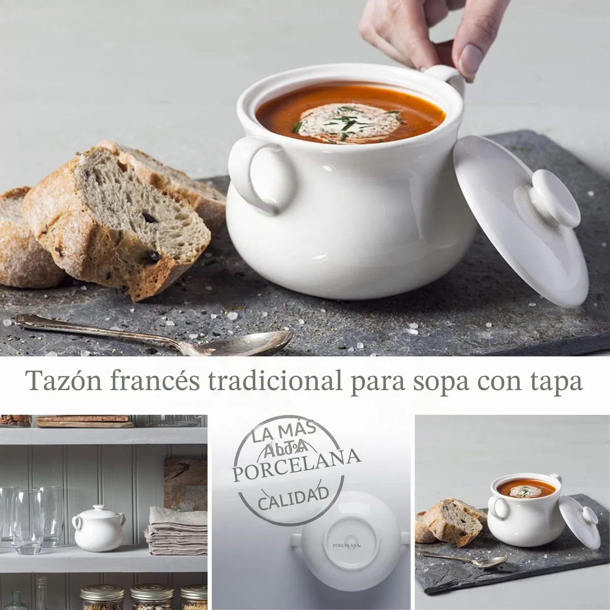 WM Bartleet & Sons 1750 T411 - Cuenco individual de porcelana tradicional con tapa para sopa y guiso de cebolla francesa con asas, 500 ml, color blanco