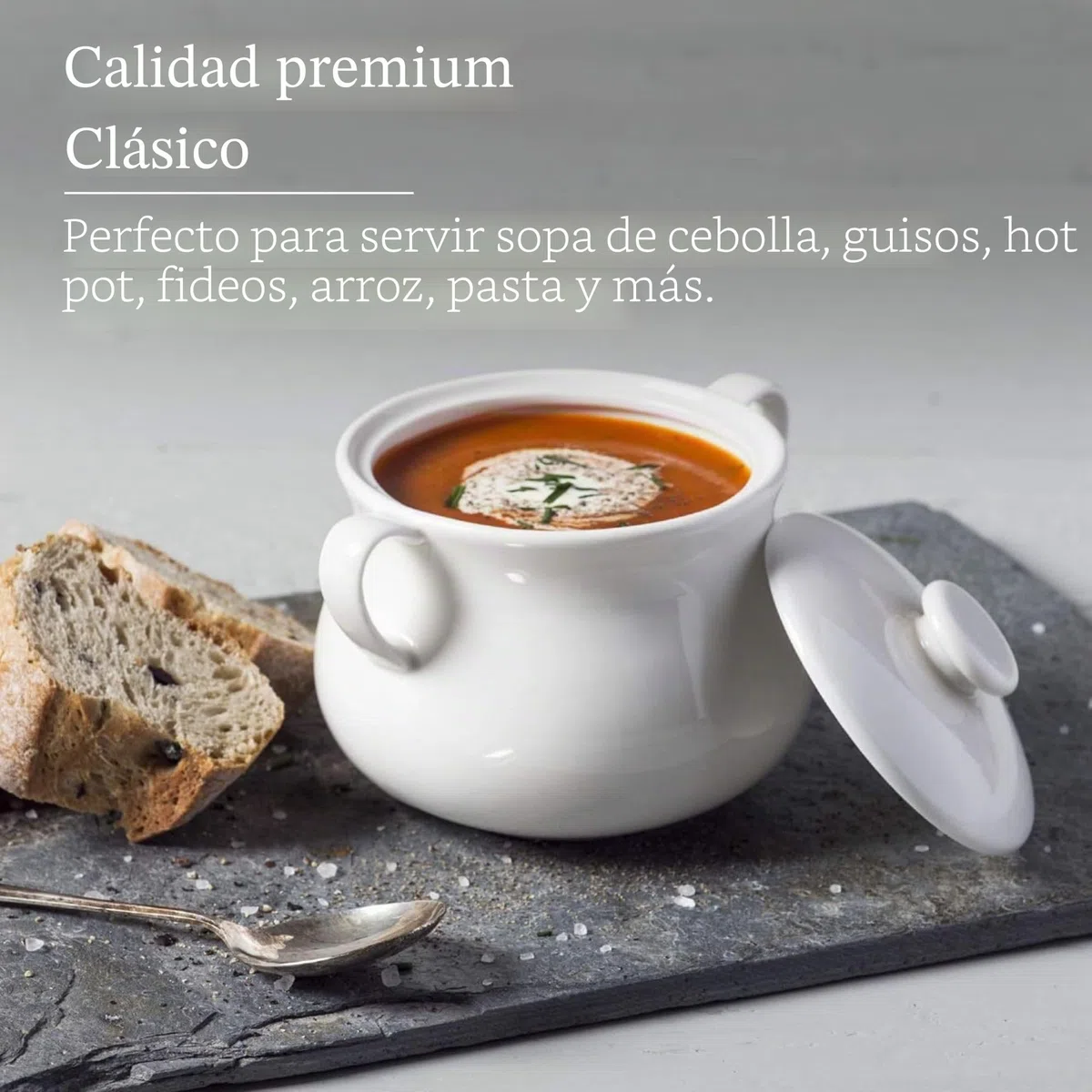 WM Bartleet & Sons 1750 T411 - Cuenco individual de porcelana tradicional con tapa para sopa y guiso de cebolla francesa con asas, 500 ml, color blanco