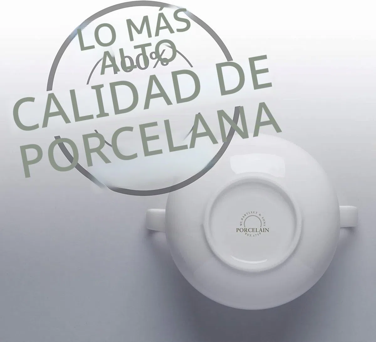 WM Bartleet & Sons 1750 T411 - Cuenco individual de porcelana tradicional con tapa para sopa y guiso de cebolla francesa con asas, 500 ml, color blanco
