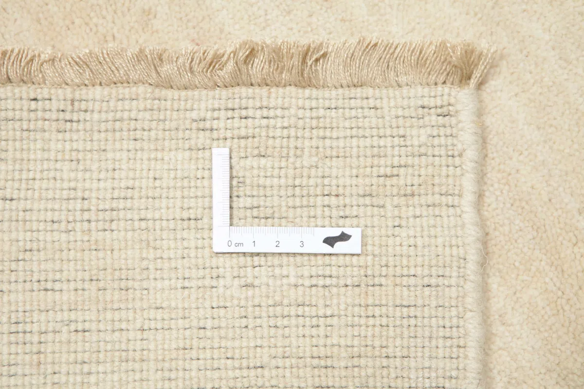 RugVista Handloom Fringes Alfombra, 100 x 160 cm, Ivory | Modernas, Rectangular, Pelo medio, Limpieza en seco, Sala de estar, Comedor, Dormitorio