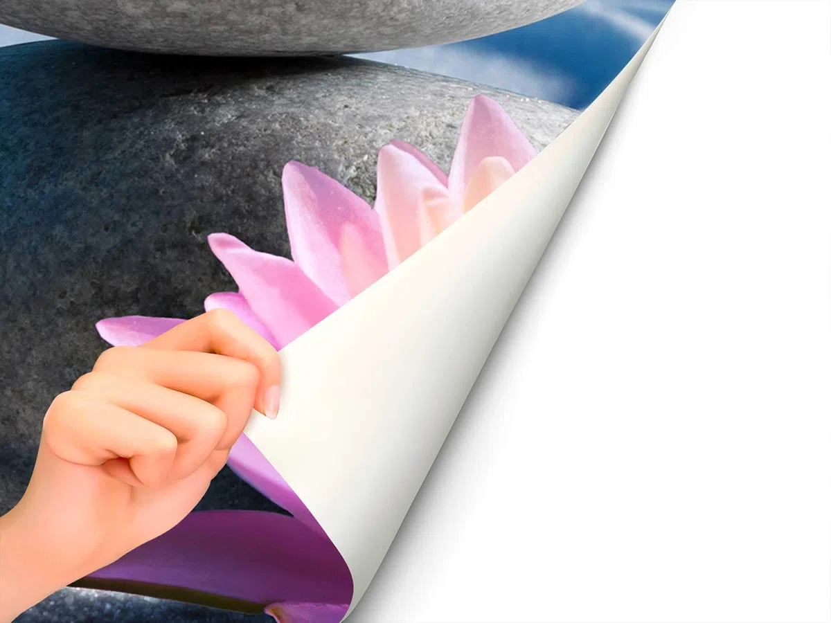 Vinilo para Mamparas de Ducha y Baños Piedras Grises y Flor Zen | Varias Medidas 120x185cm | Adhesivo Resistente y de Fácil Aplicación | Pegatina Adhesiva Decorativa de Diseño Elegante