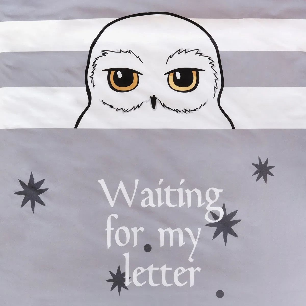BELUM | Funda nórdica Harry Potter, Funda nórdica con Botones 100% algodón Modelo Waiting Letter para Cama de 105 (180x220 cm)