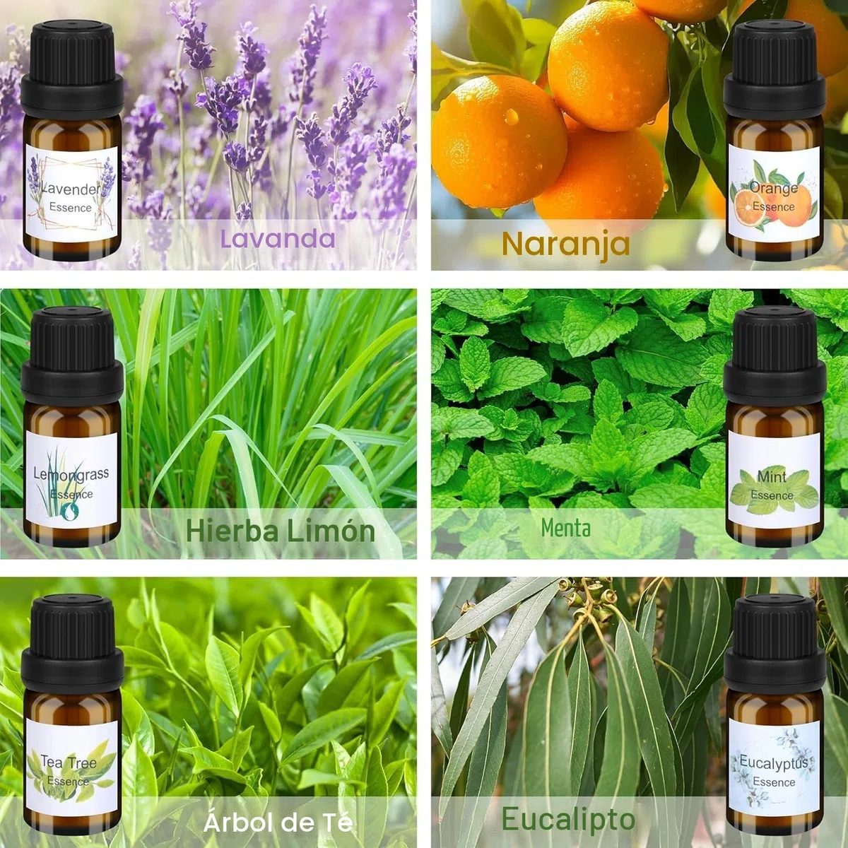 LDUMODUW Kits para Fabricación de Velas,DIY Juego Regalo para Velas,480g de cera de abeja,9 latas para velas,6 aceites esenciales,8 bloques de color,Herramientas para fundir cera (black)