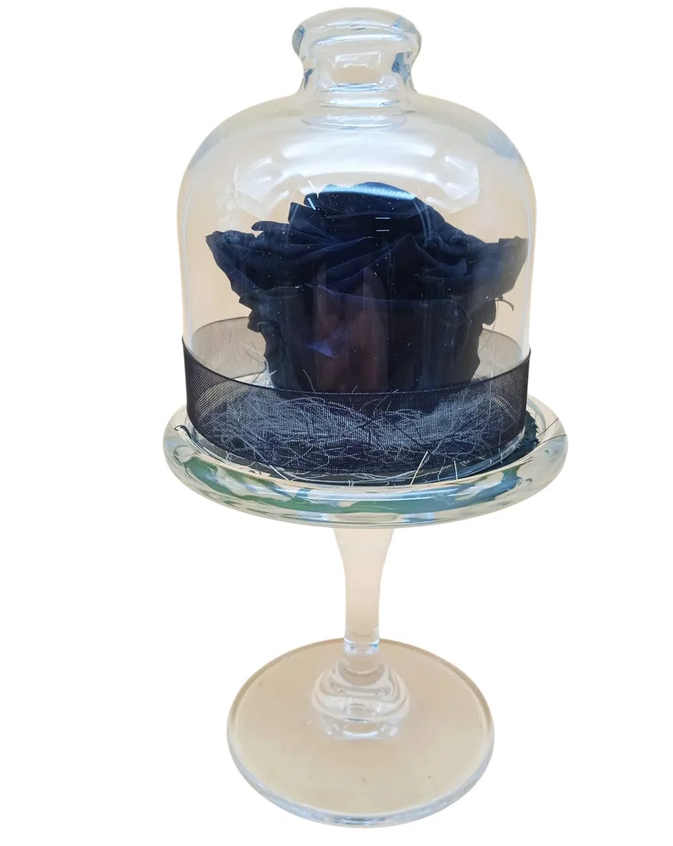 Genérico Rosa ETERNA Negra. Cúpula de Vidrio con Base. Rosa Negra Natural preservada. Flor PRESERVADA Negra. Regalo Original, cumpleaños, Decoraciones. Hecho por Artesanos floristas en España.