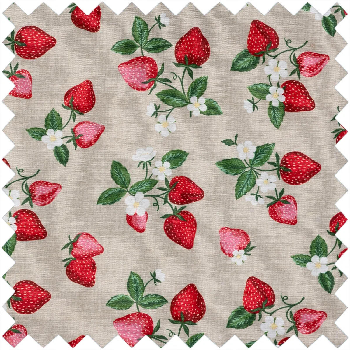 Hobby Gift Funda para Máquina de Coser con Bolsillos, Funda Protectora contra el Polvo con Compartimentos para Accesorios, Compatible con Máquinas Estándar, 33,5 x 44 x 21 cm, Fresas