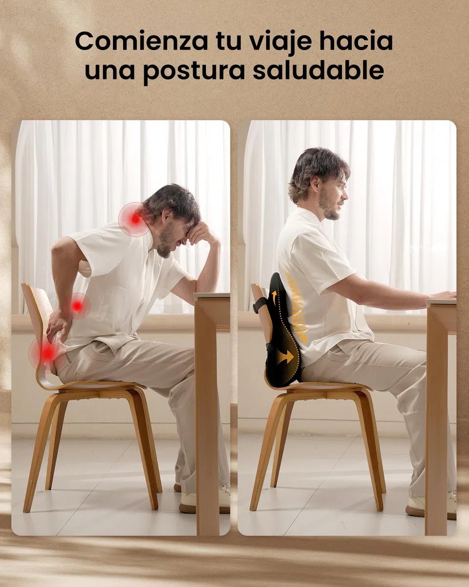 ProtoArc Almohada de Apoyo Lumbar para Silla de Oficina, Almohada de Espuma viscoelástica para la Espalda Baja, cojín Lumbar para Silla de Escritorio, Respaldo ergonómico para Silla - Negro
