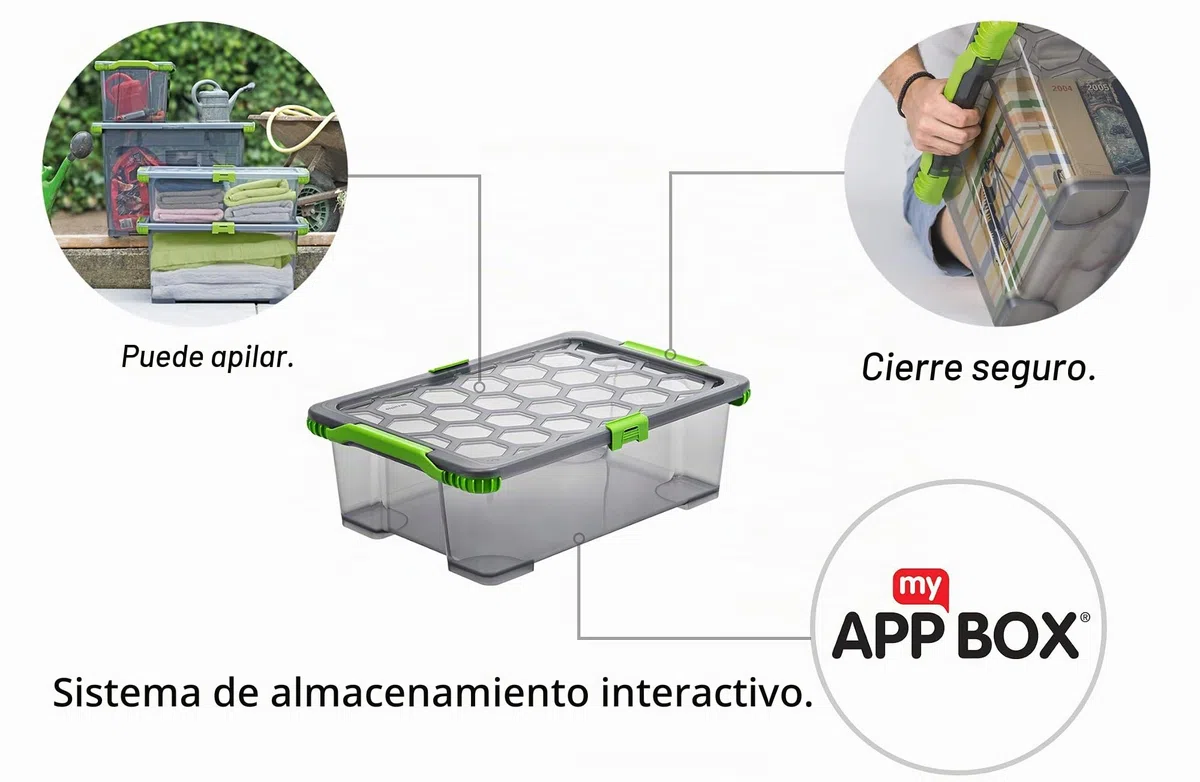 Rotho Evo Total Protection - Caja de Almacenamiento de 30 L con Tapa, Plástico (PP) sin BPA, Gris Antracita/Transparente, 30 L (59.0 x 39.5 x 18.5 cm)