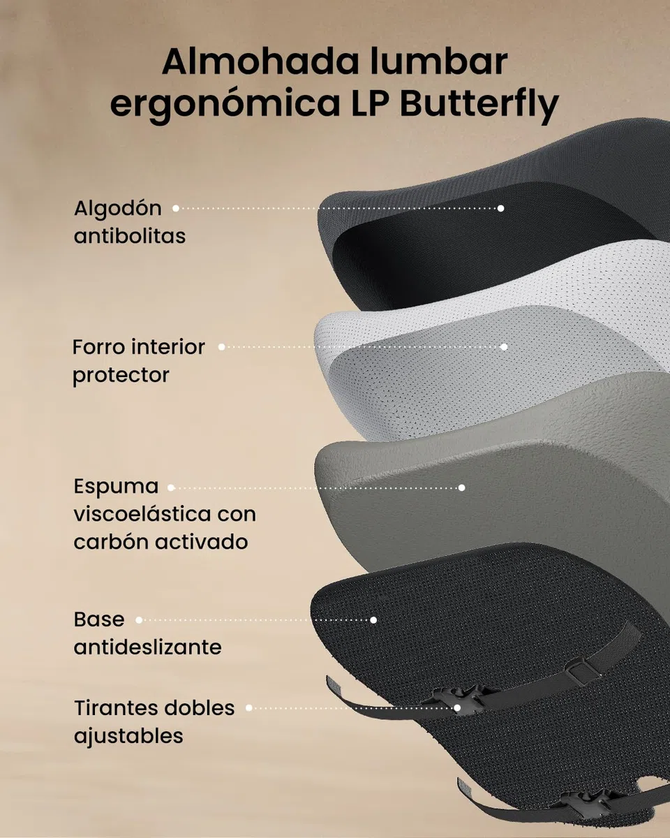 ProtoArc Almohada de Apoyo Lumbar para Silla de Oficina, Almohada de Espuma viscoelástica para la Espalda Baja, cojín Lumbar para Silla de Escritorio, Respaldo ergonómico para Silla - Negro