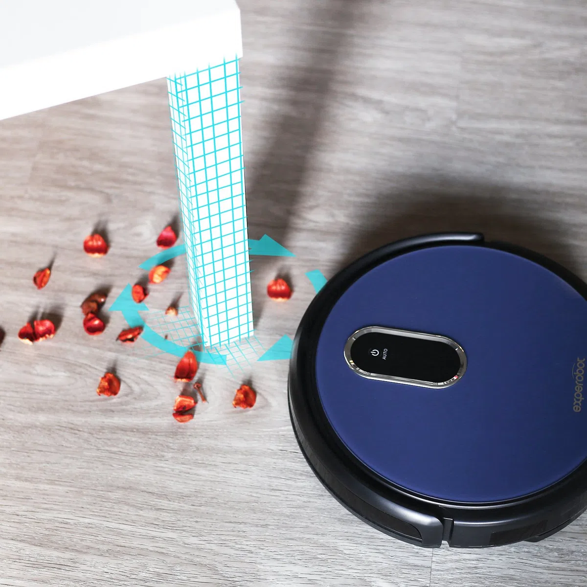 Robot Vacuum Cleaner