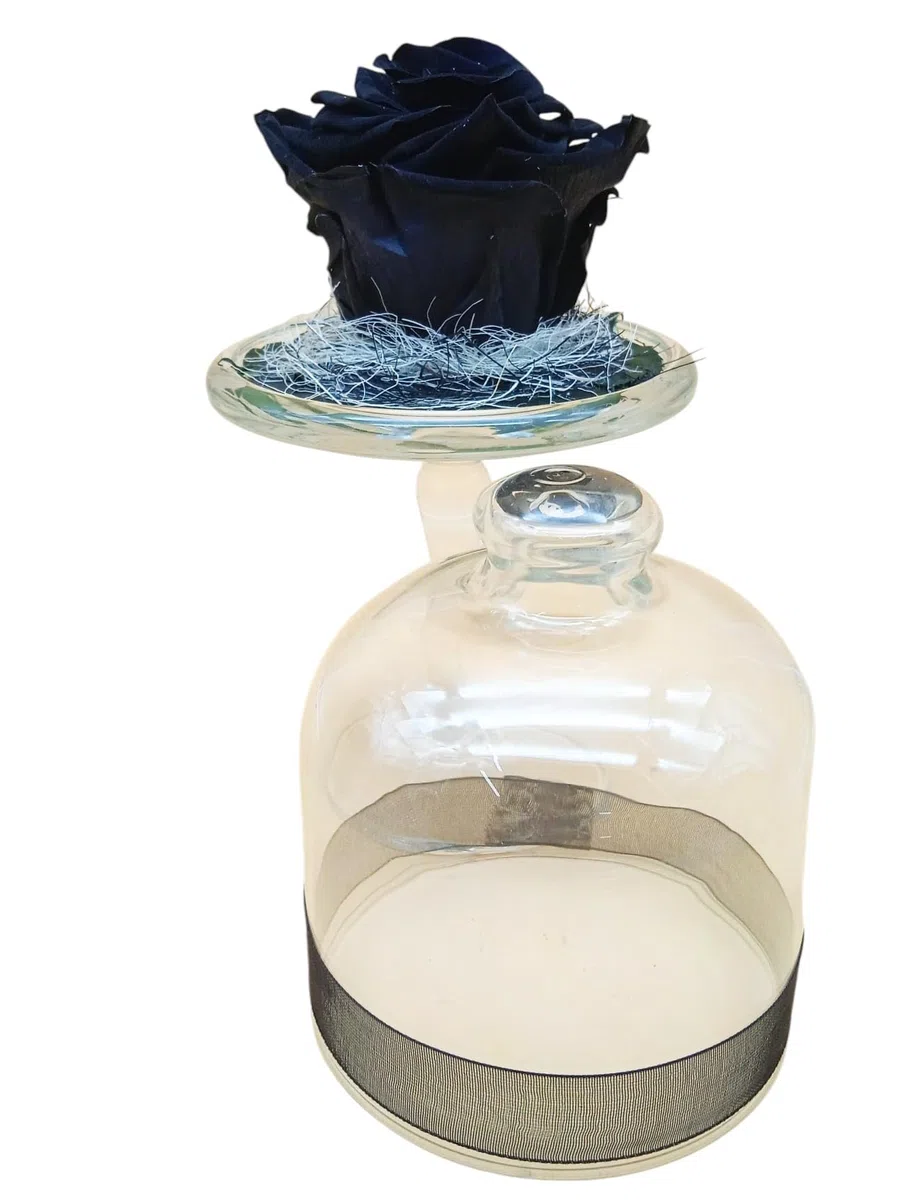 Genérico Rosa ETERNA Negra. Cúpula de Vidrio con Base. Rosa Negra Natural preservada. Flor PRESERVADA Negra. Regalo Original, cumpleaños, Decoraciones. Hecho por Artesanos floristas en España.
