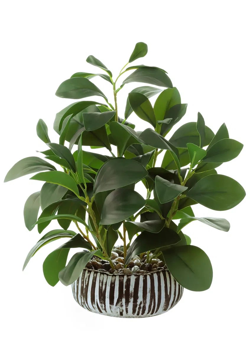 Plantas Artificiales Peperomia Plantas Falsas con Cemento Maceta para Habitación Casa Baño Dormitorio Cocina Oficina Mesa Interior Exterior Decoración