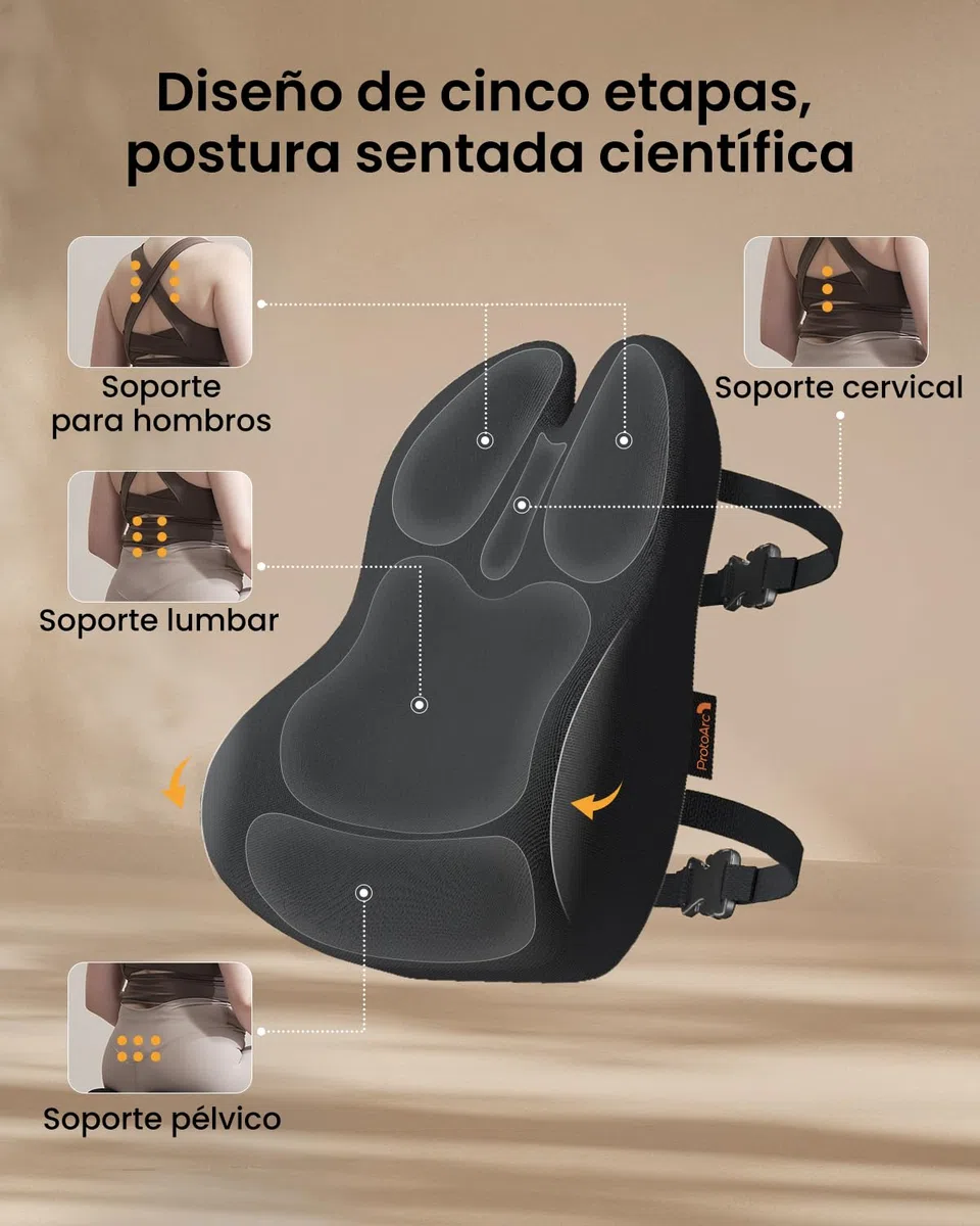 ProtoArc Almohada de Apoyo Lumbar para Silla de Oficina, Almohada de Espuma viscoelástica para la Espalda Baja, cojín Lumbar para Silla de Escritorio, Respaldo ergonómico para Silla - Negro