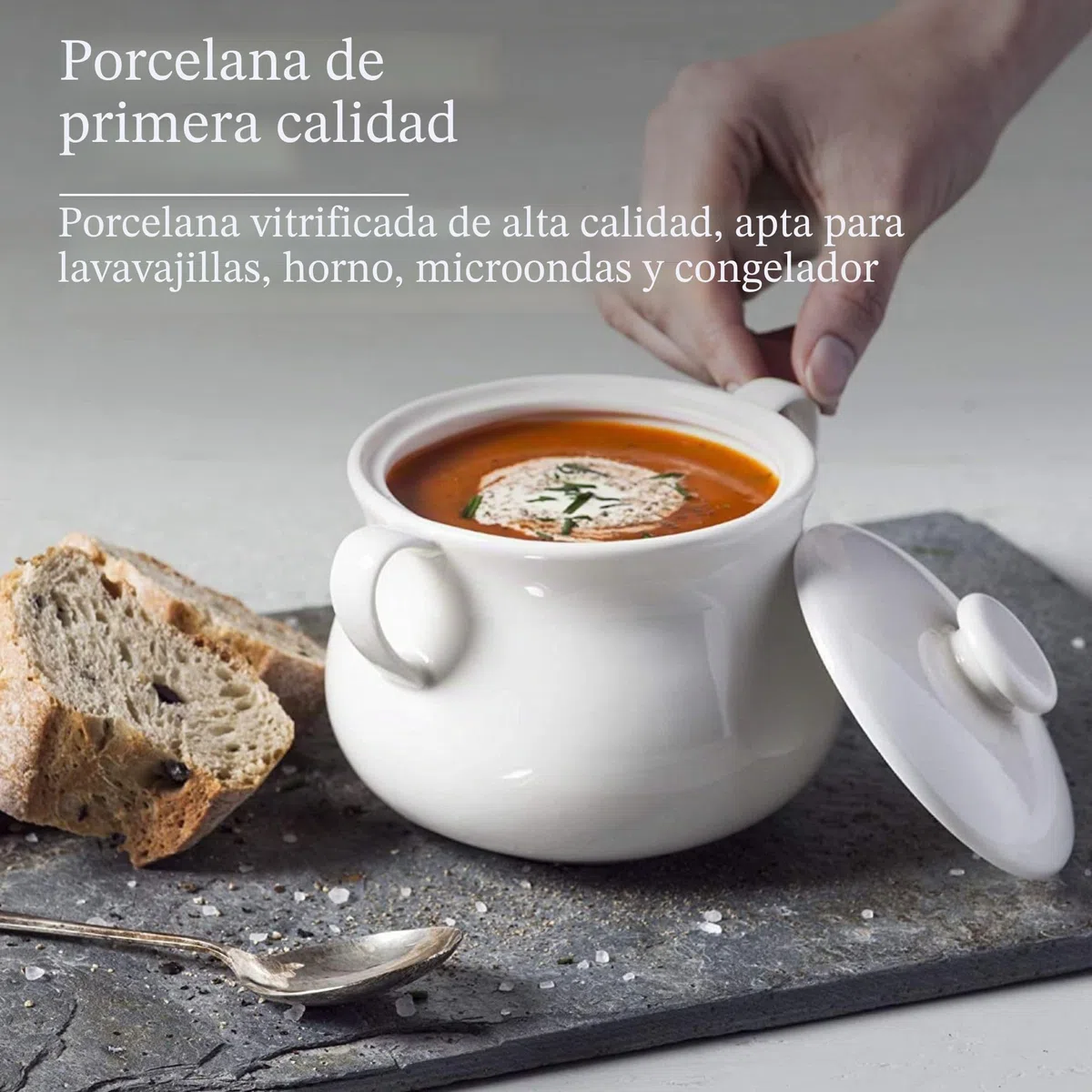 WM Bartleet & Sons 1750 T411 - Cuenco individual de porcelana tradicional con tapa para sopa y guiso de cebolla francesa con asas, 500 ml, color blanco