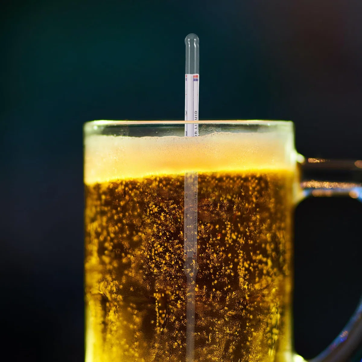 Medidor de Azúcar y Hidrómetro para Jarabe de Arce y Cerveza 10 Piezas Escala Detallada para Elaboración de Vino y Fermentación Doméstica, Instrumento de Vidrio Resistente
