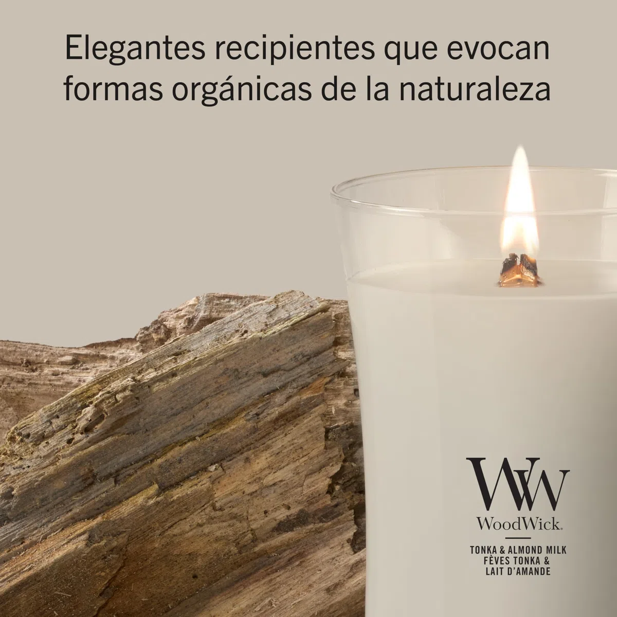 WoodWick | Vela grande | Tonka y leche de almendras | Gran regalo para mujeres