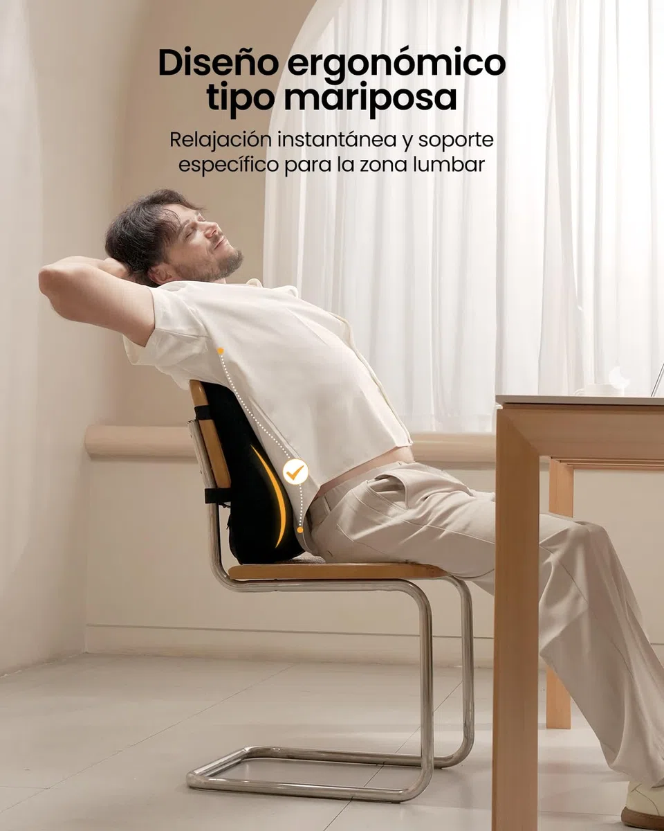ProtoArc Almohada de Apoyo Lumbar para Silla de Oficina, Almohada de Espuma viscoelástica para la Espalda Baja, cojín Lumbar para Silla de Escritorio, Respaldo ergonómico para Silla - Negro