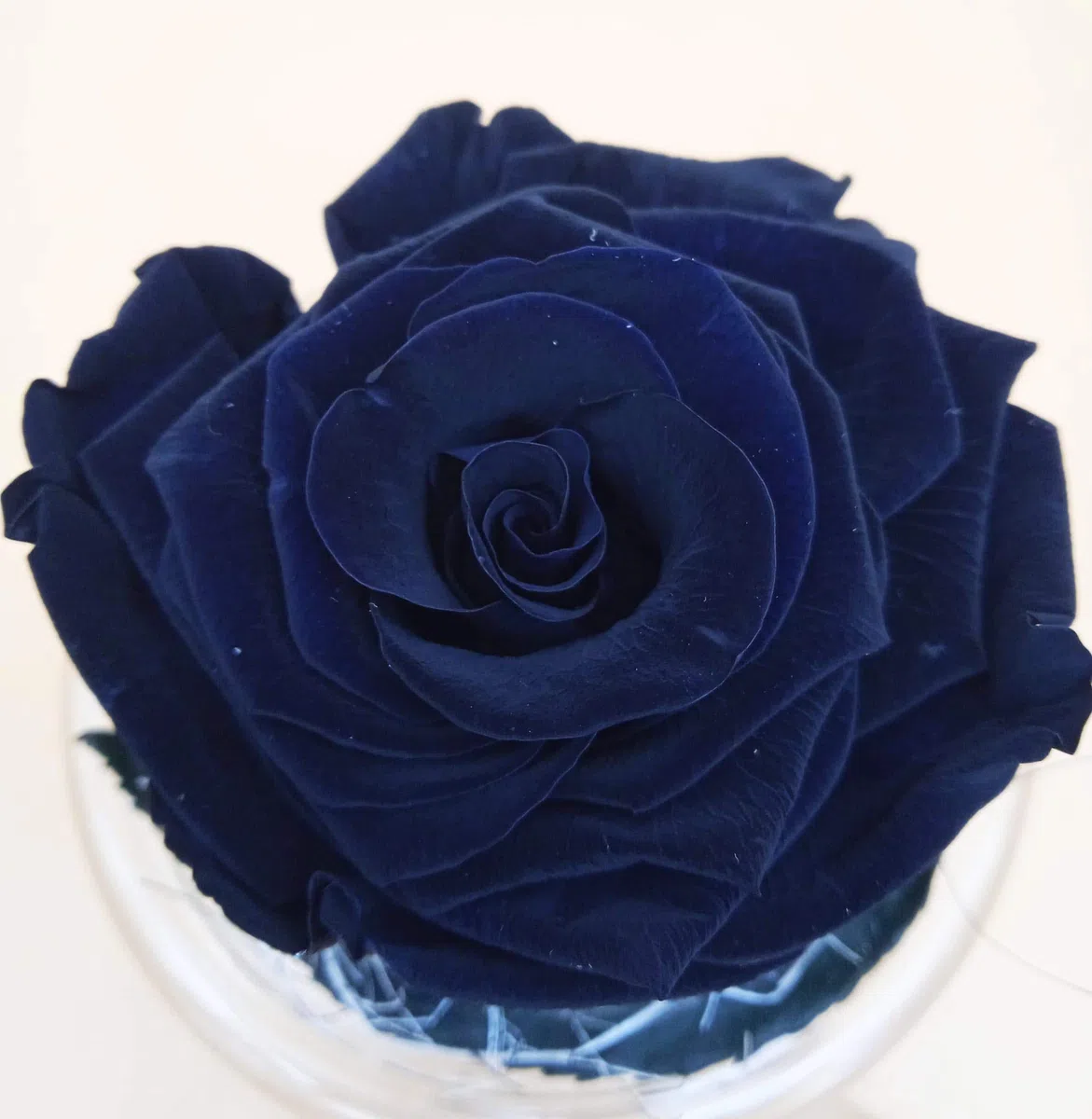 Genérico Rosa ETERNA Negra. Cúpula de Vidrio con Base. Rosa Negra Natural preservada. Flor PRESERVADA Negra. Regalo Original, cumpleaños, Decoraciones. Hecho por Artesanos floristas en España.